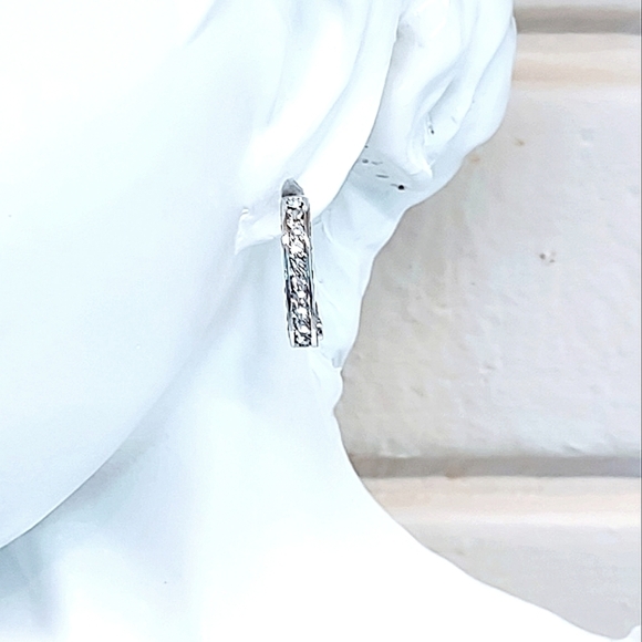 CUBIC ZIRCONIA SPARKLE HOOP STAINLESS STEEL EARRINGS - Picture 3 of 7